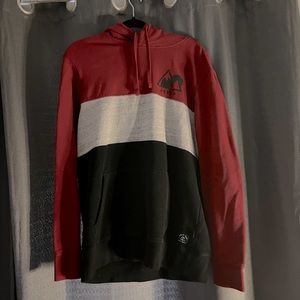 AMERICAN EAGLE HOODIE